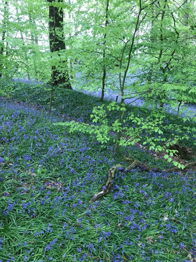 Bluebell Bell Tent The Roaches Upper Hulme ภายนอก รูปภาพ