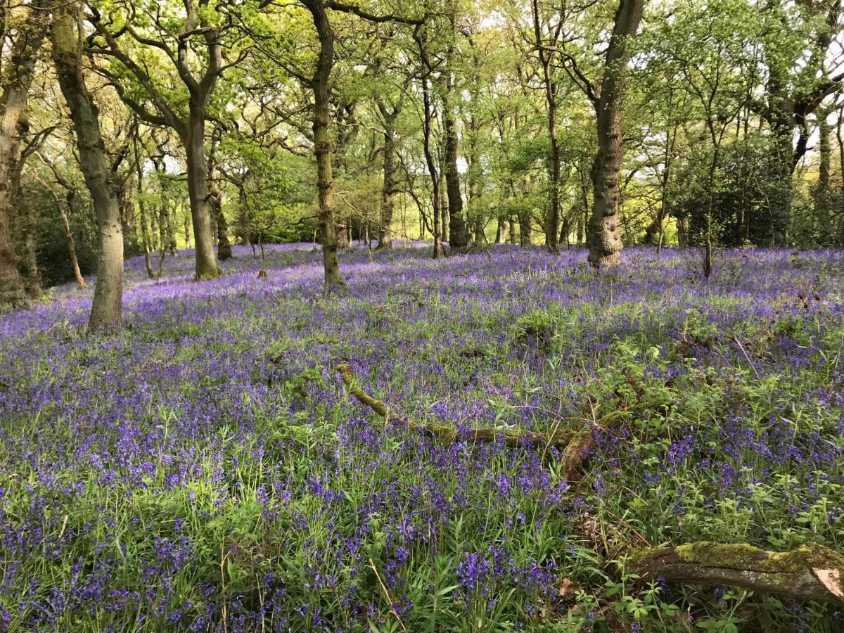 Bluebell Bell Tent The Roaches Upper Hulme ภายนอก รูปภาพ